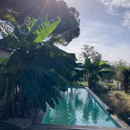 La Zingara